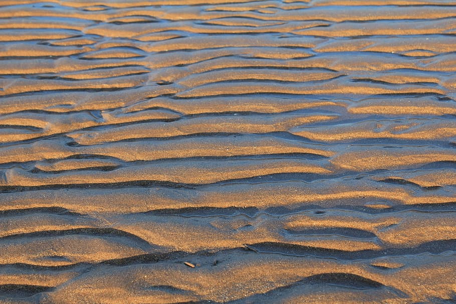 closeup photo of brown surface, Sand, Ripples, Lines, Ridge HD wallpaper