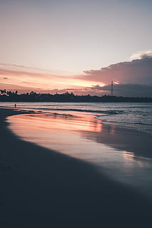 body of water during sunset, calm water beach near forest under white and orange skies HD wallpaper