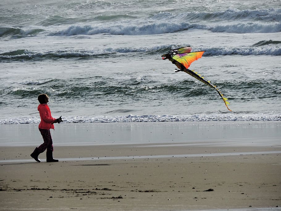 beach, kite, kite flying, fun, sand, coast, ocean, water, sea HD wallpaper