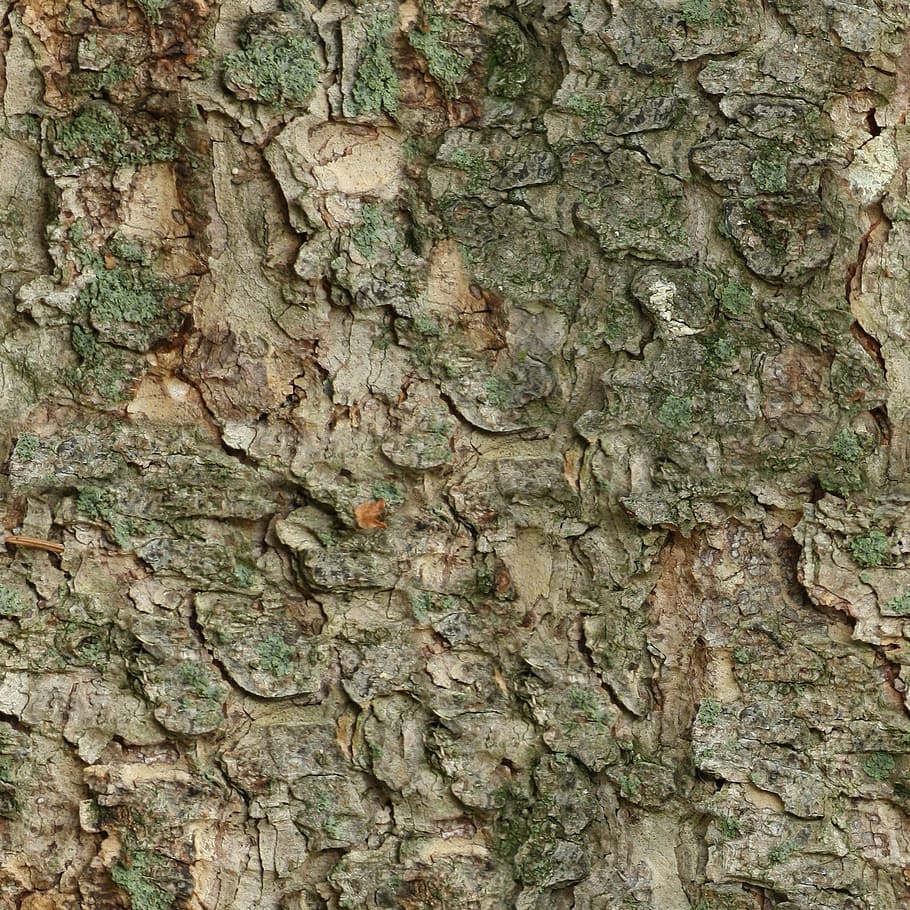 seamless, tileable, texture, bark, fur, wood, tree, nature, HD wallpaper