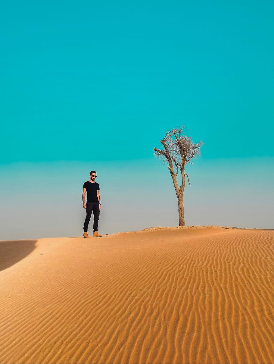 Holiness of Silence , man standing on desert near tree during daytime HD wallpaper