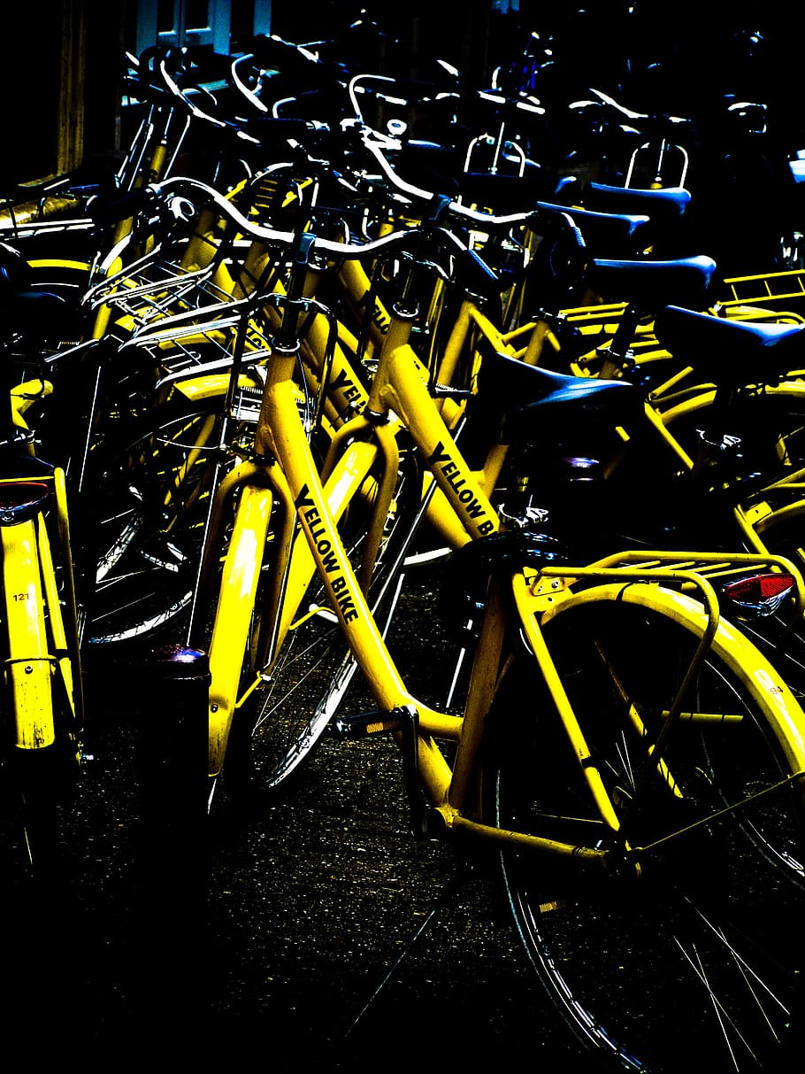 bikes, yellow, amsterdam, street, bicycle, netherlands, dutch, HD wallpaper