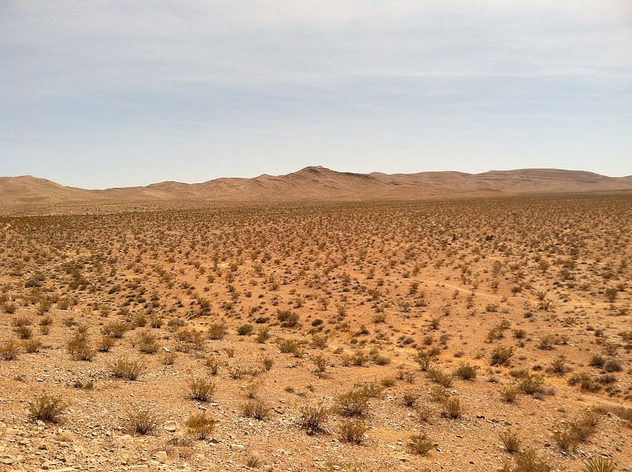 Desert, Dry, Sand, Landscape, Wilderness, scenery, natural HD wallpaper