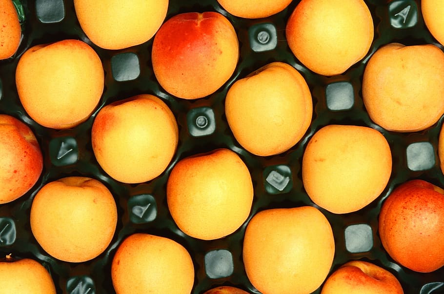 apricots, fruit, ripe, picked, crate, food, healthy, agriculture HD wallpaper