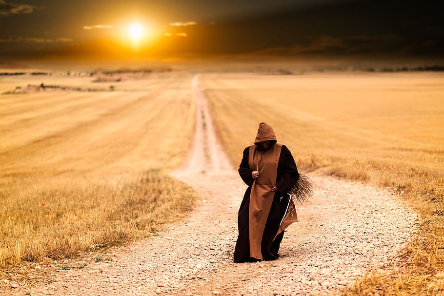 person in brown and black dress walking on road between dried grass field during golden hour HD wallpaper