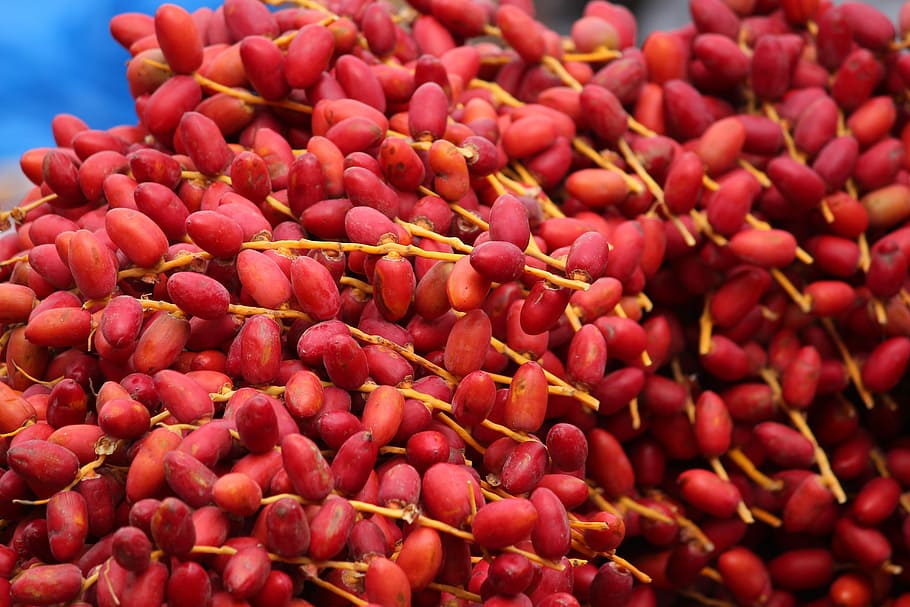 Fresh, Dates, Fruit, Food, Ripe, red, outdoors, no people, freshness HD wallpaper