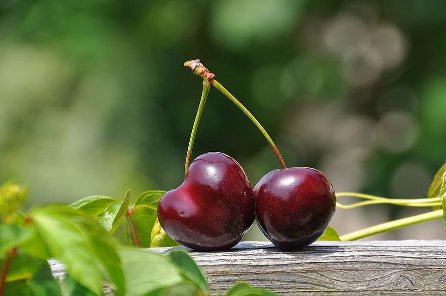 Close Up Photography of a Red Cherry Fruit, bright, cherries, HD wallpaper