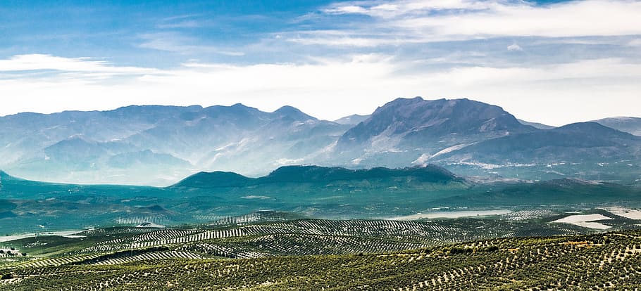 photo of mountain and green forest, landscape, olive trees HD wallpaper
