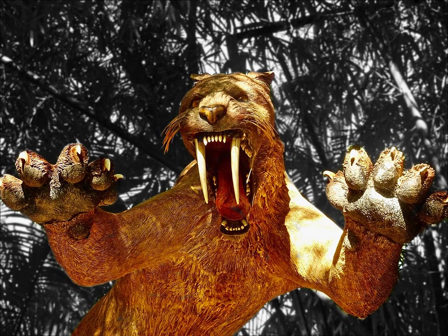 Tiger, Sabre Tooth, Extinct, Dangerous, sculpture, carnivorous HD wallpaper