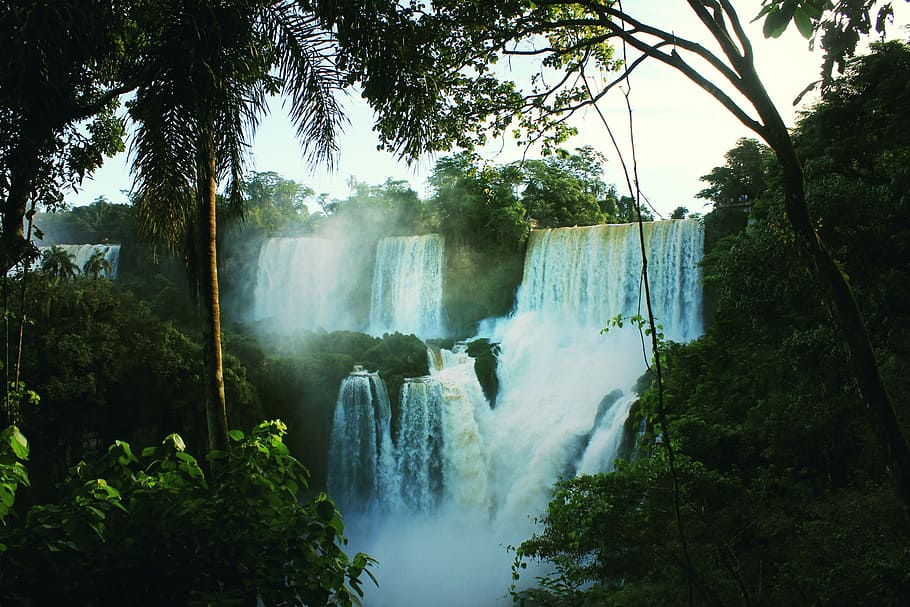 waterfalls between trees during day time, photo of waterfalls HD wallpaper