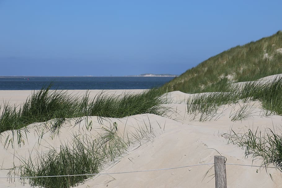 texel, beach, holland, north sea, by the sea, de cocksdorp, HD wallpaper