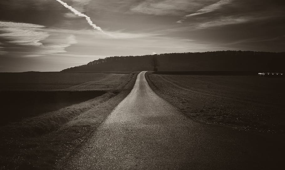 grayscale photo of paved road, sepia, panorama, forest path HD wallpaper