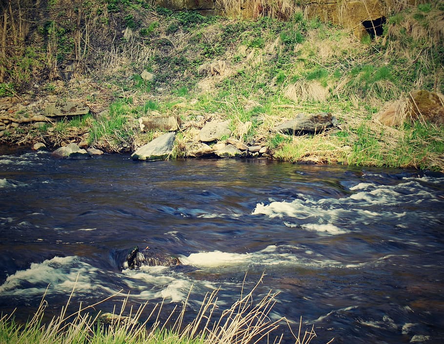 river, water, nature, eagle, flowing, river basin, current HD wallpaper