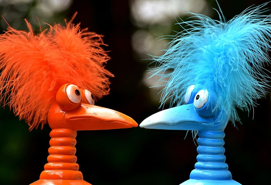 close shot of orange and blue bird plastic toys, jokers, funny HD wallpaper