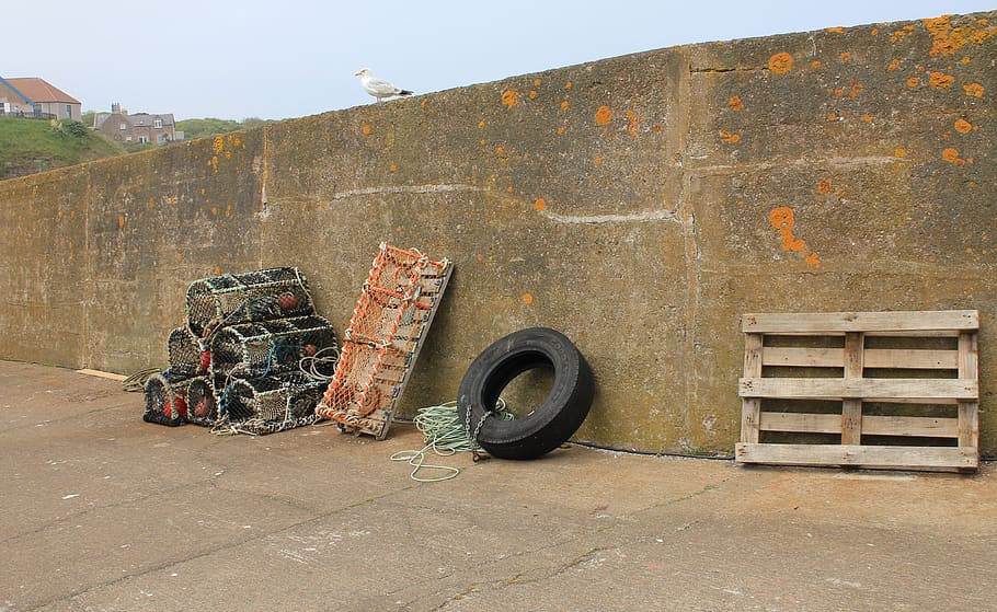 harbour, wall, creel, lobster pot, crab cage, seagull, wooden pallet