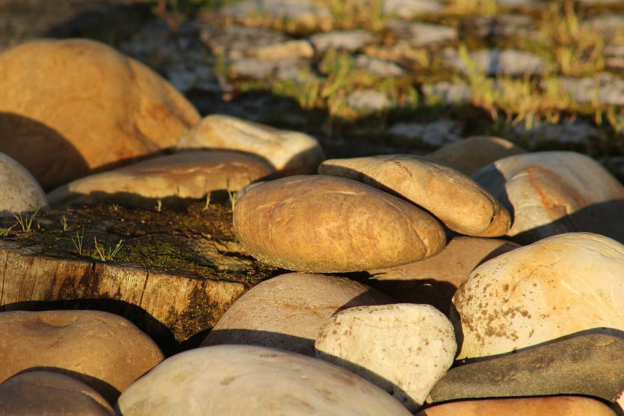 stones, deforestation, boulders, tree, nature, autumn, backgrounds HD wallpaper