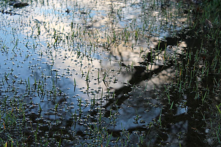 Puddle, Reflection, Grass, Wet, sky, spring, water, no people HD wallpaper