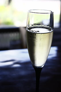 wine, cup, cava, transparent, glass, drink, food and drink HD wallpaper