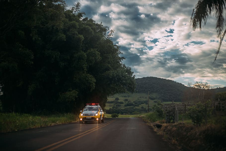 clouds, sky, nature, road, police, street, green, woods, forest HD wallpaper