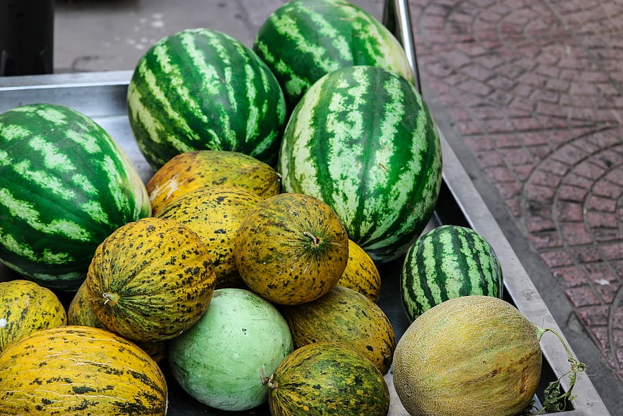bunch of watermelons, watermelon fruits, green, tray, food, food and drink HD wallpaper