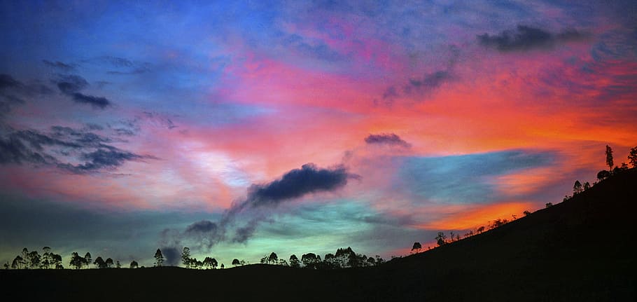 orange and green sky, sunset, dusk, hill, trees, scenery, landscape HD wallpaper