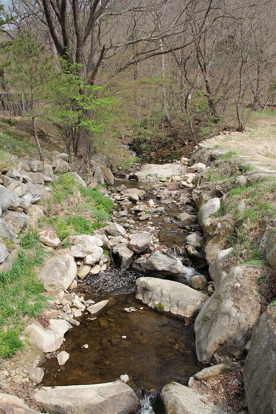 Creek, Nature, Spring, Streams, the creek, country, water, tree HD wallpaper