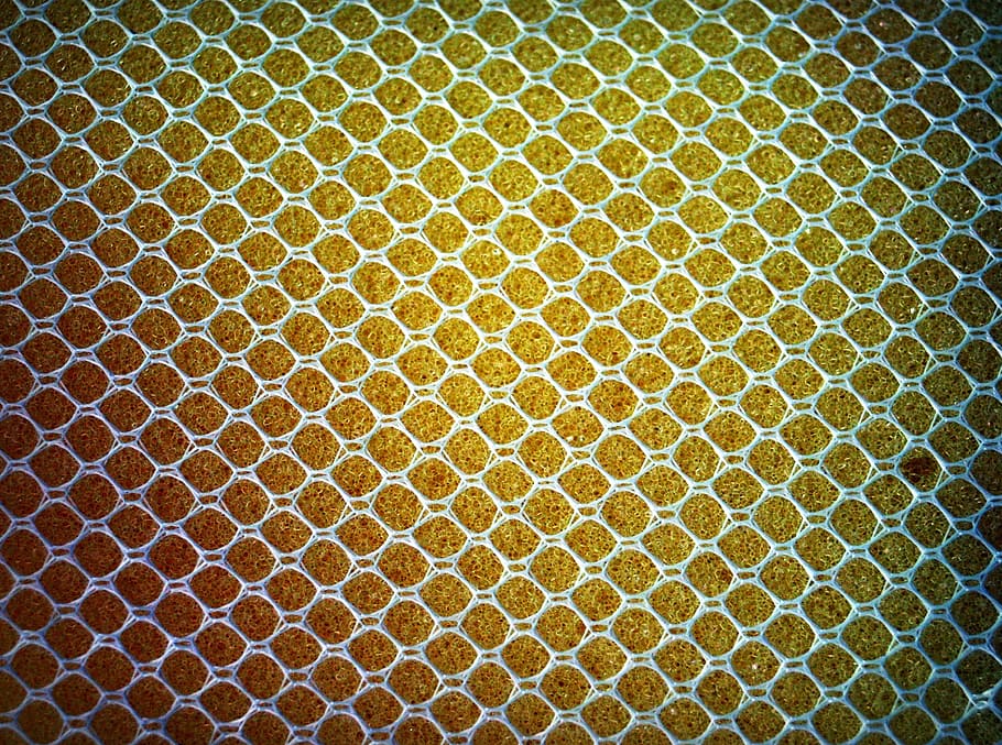sponge, yellow, close, up, gold, closeup, isolated, photo, nobody HD wallpaper