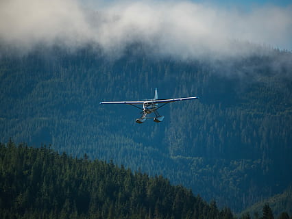 airplane above mountain covered in trees, blue and white helicopter under blue sky HD wallpaper
