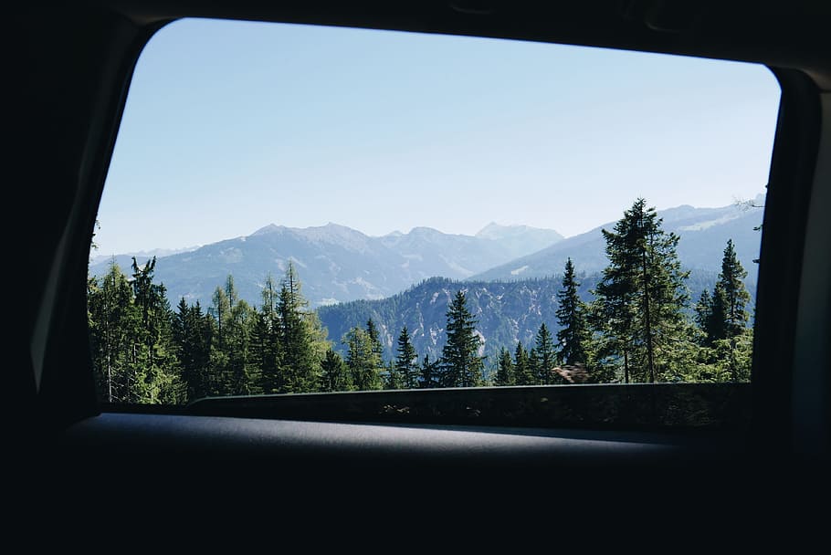 landscape photography of pine tree near mountain, vehicle inside view of forest in distant of mountains HD wallpaper