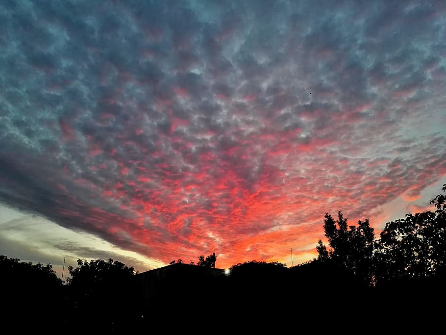 sky, cloud, grey clouds, cloudy sky, blue, sun, blue sky, pink HD wallpaper