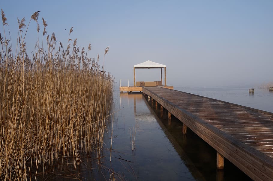 web, water, bridge, boardwalk, lake, sky, tranquil scene, tranquility HD wallpaper