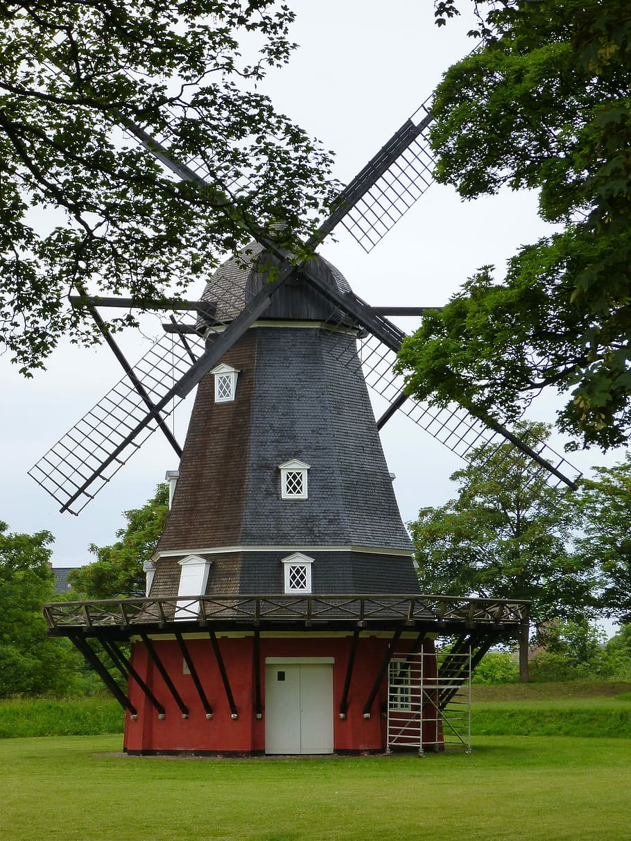 Windmill, Denmark, Copenhagen, alternative energy, tree, fuel and power generation HD wallpaper