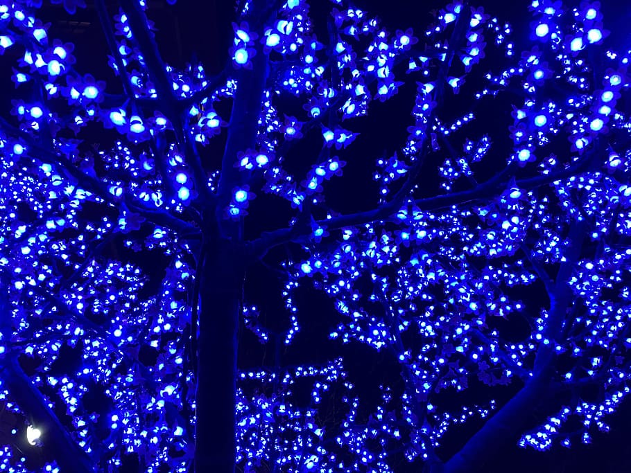 lights, blue, tree, night, glow, evening, pattern, party, decoration HD wallpaper