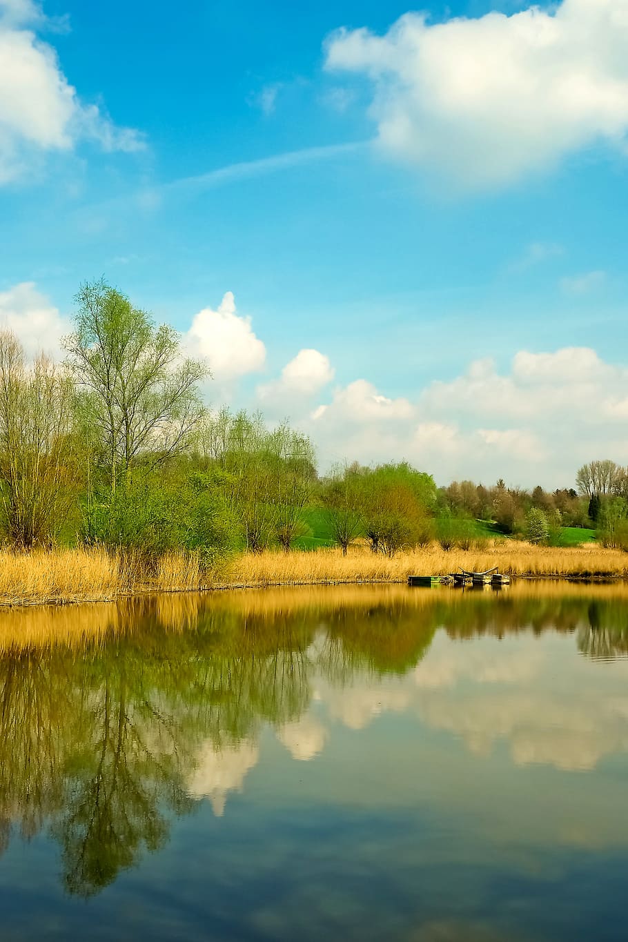 Landscape, Meadowlands, Trees, bare branches, blue, mood, sky HD wallpaper