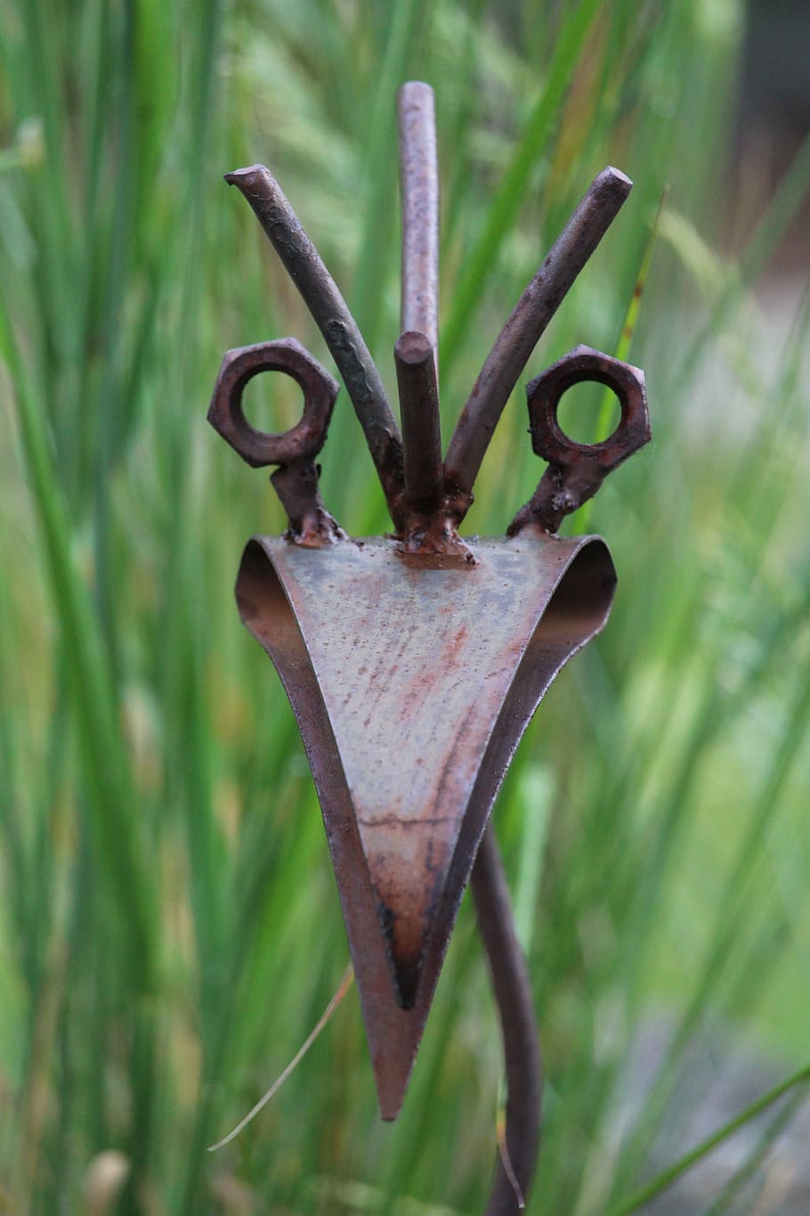 art, metal, stainless, artwork, sculpture, animal figure, garden HD wallpaper