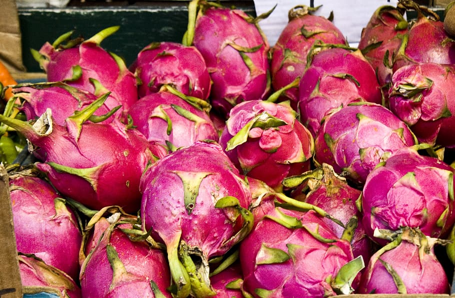 dragonfruit, tasty, red, food and drink, freshness, healthy eating HD wallpaper