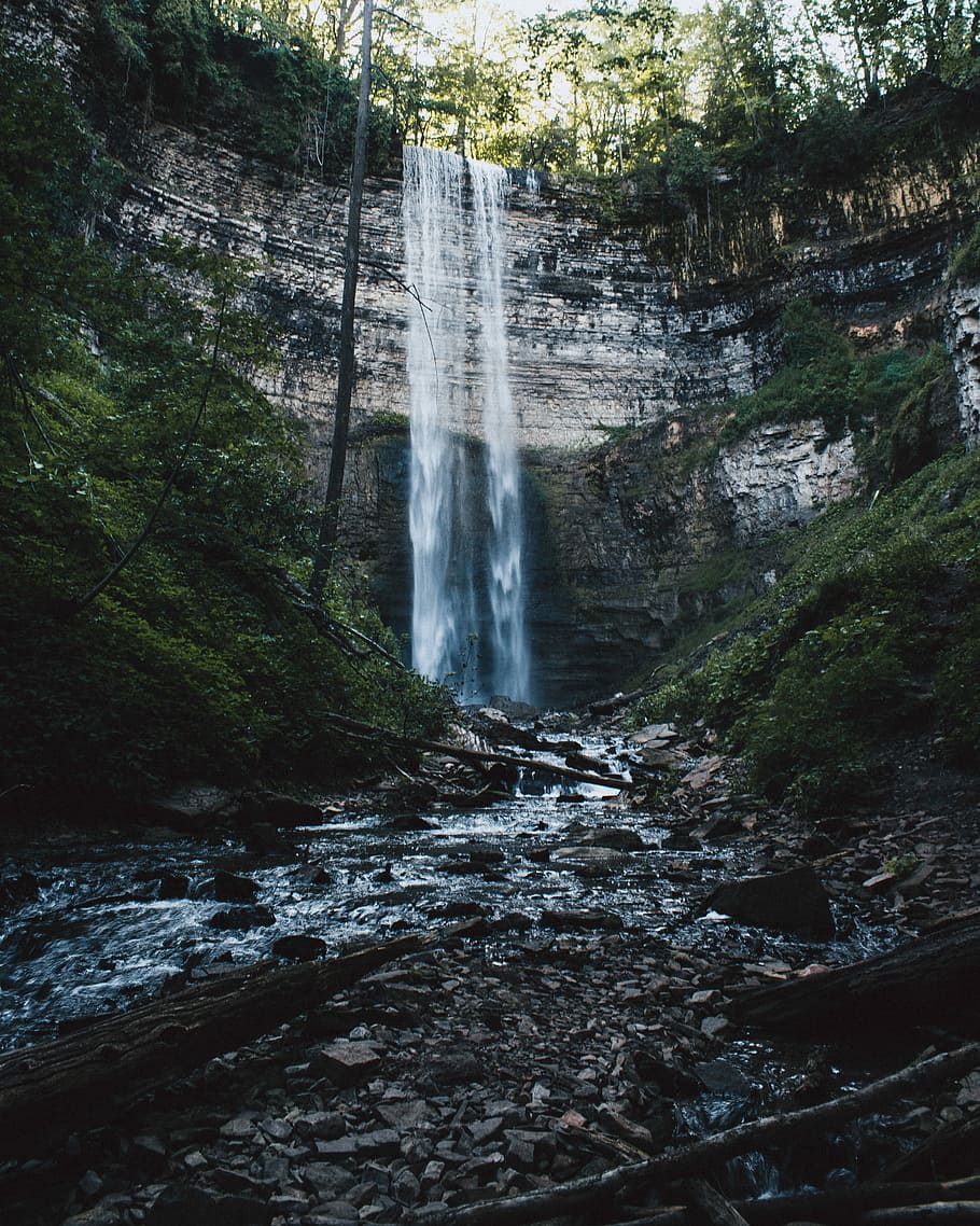 falls, landscape photo flunge waterfalls, green, tree, stick HD wallpaper