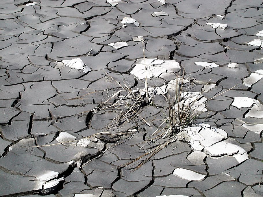 Drought, Dry, Grass, Mud, dry grass, cracked, damaged, breaking HD wallpaper