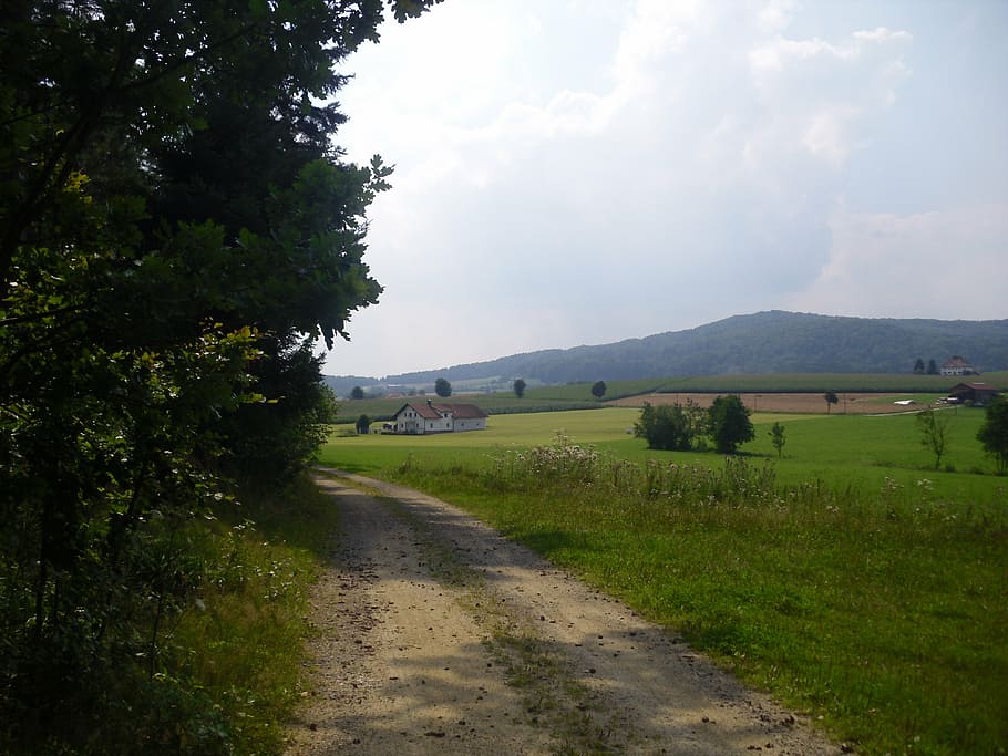 landscape, bavaria, reported, plant, sky, road, tranquil scene HD wallpaper