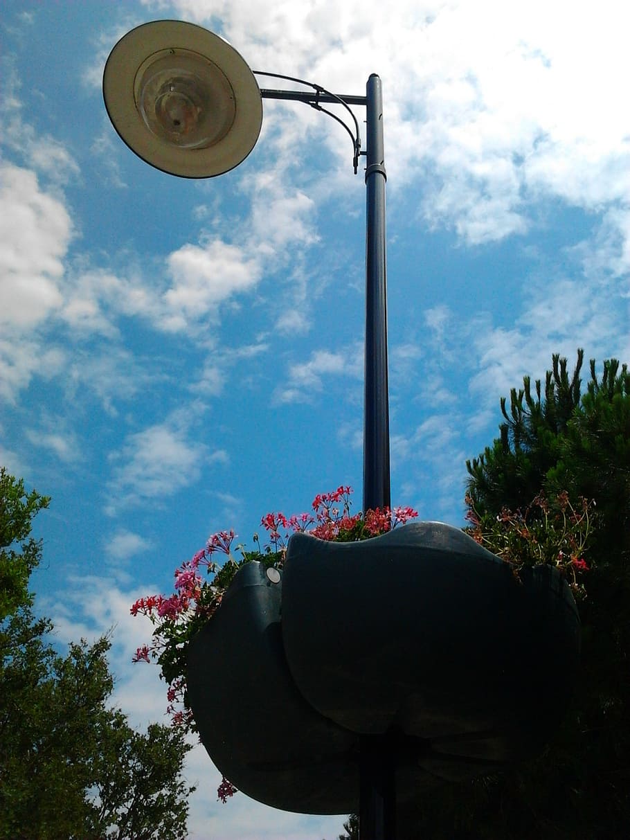 lamp, ganesh, flower, cloud - sky, plant, street light, nature HD wallpaper