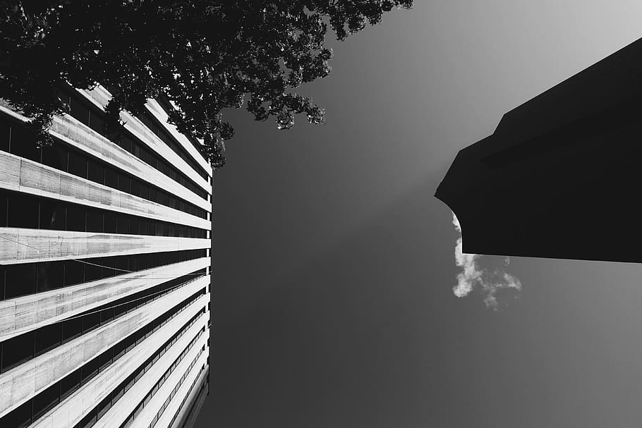 black and white, building, structure, architecture, sky, trees HD wallpaper