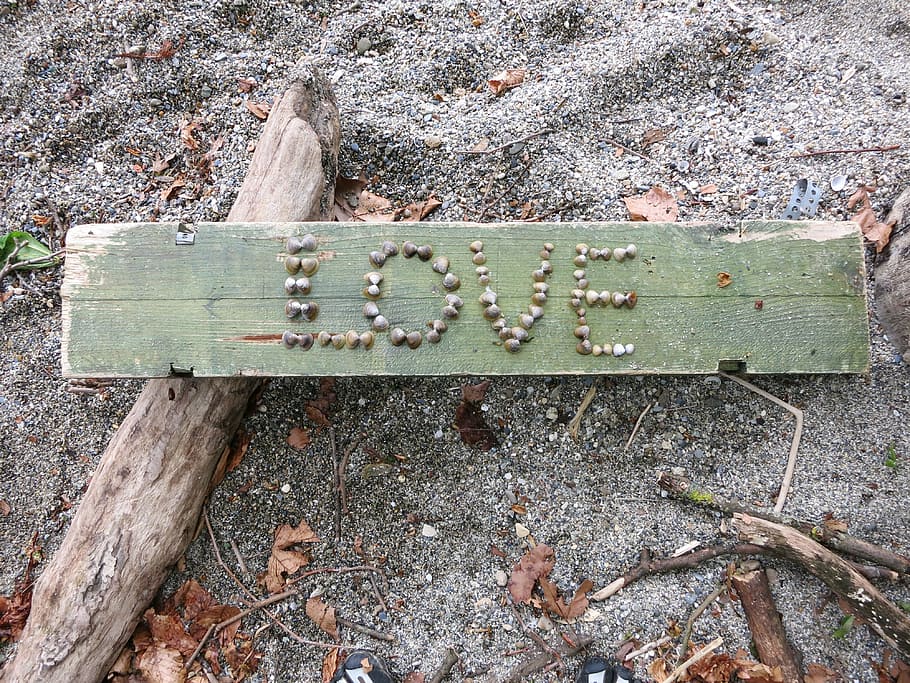 love, sand, panel, wood - material, day, no people, nature HD wallpaper