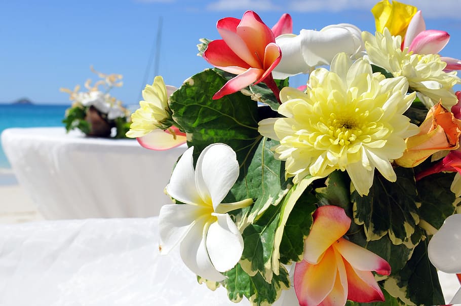 flower, wedding, aranzma, flowering plant, freshness, beauty in nature HD wallpaper