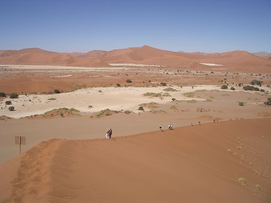 Desert, Sand, eisamkeit, arid climate, animal themes, landscape HD wallpaper