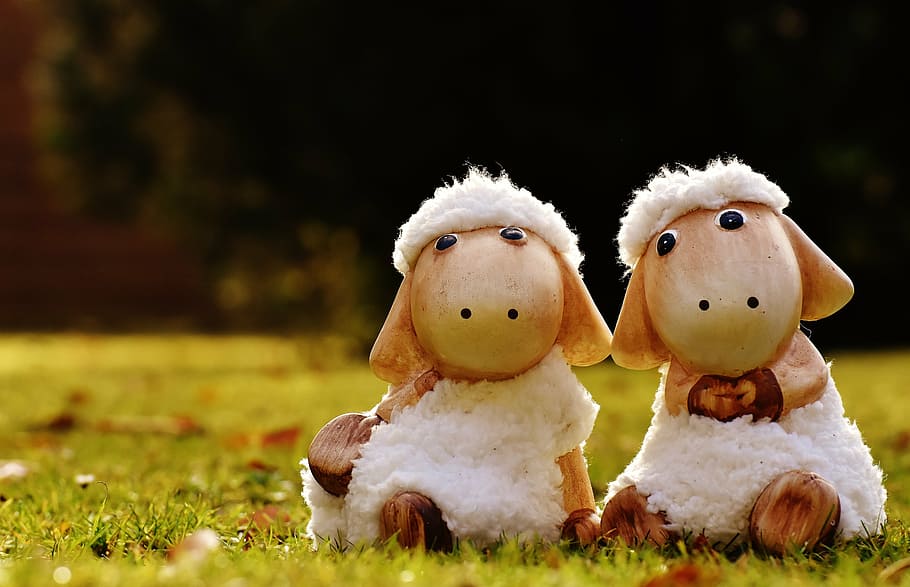 sheep, deco, ceramic, cute, figure, soft toy, wool, face, ungulate HD wallpaper