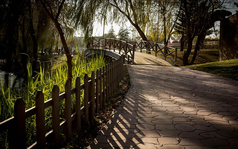 bridge surrounded by trees, Landscape, Nature, Park, nature turkey HD wallpaper