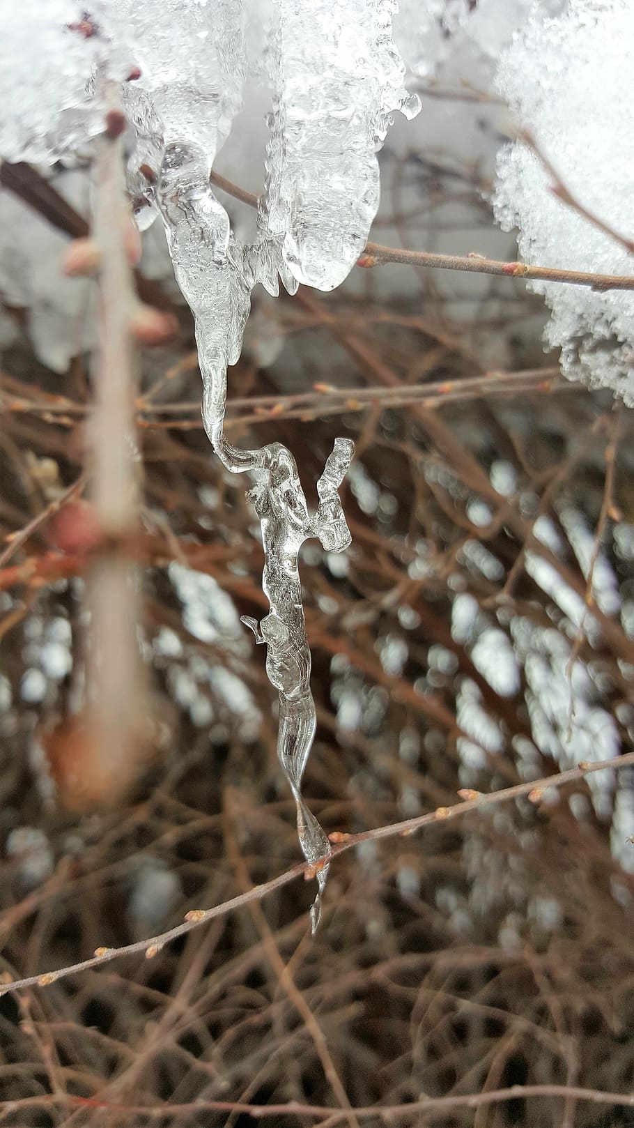 ice, snow, snowflake, cold, winter, crystal, cold temperature HD wallpaper
