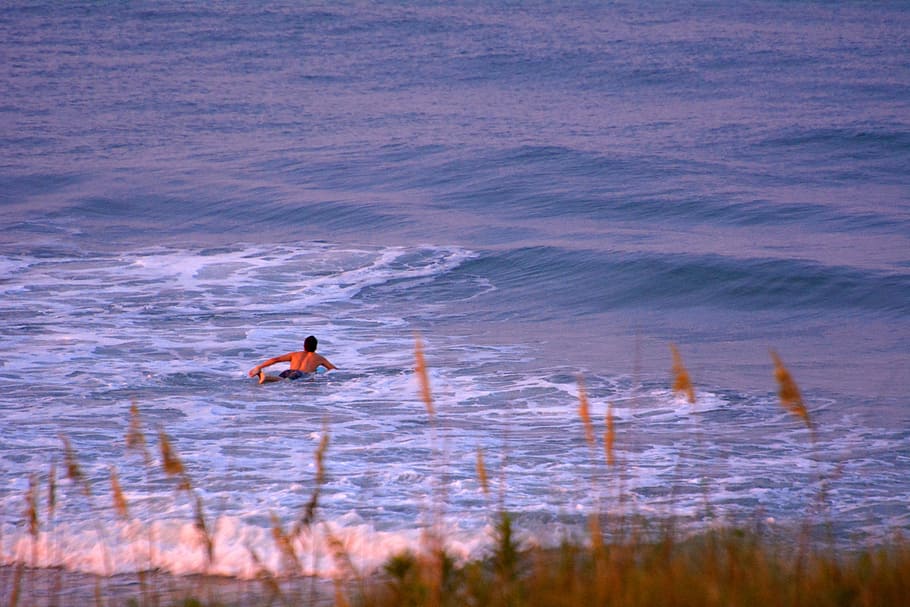 surfing, ocean, waves, beach, sea, summer, water, vacation HD wallpaper