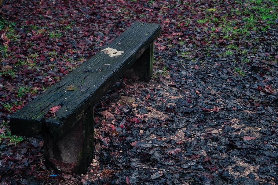Bench, Path, Tree, Forest, Nature, Green, red, wood, based, HD wallpaper