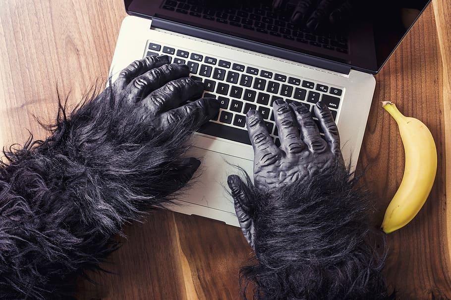 person's wearing gorilla suit using laptop besides yellow banana on top of brown table, HD wallpaper